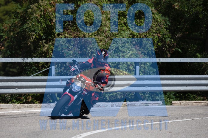 MICH0794