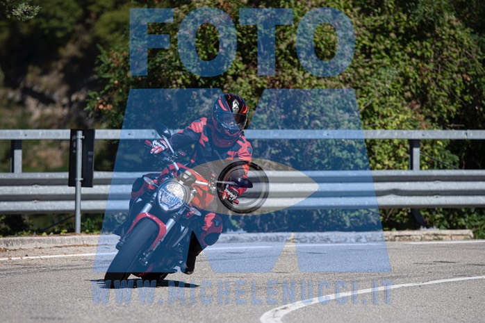 MICH0795