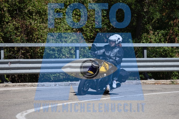 MICH0798