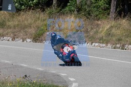 MICH0799