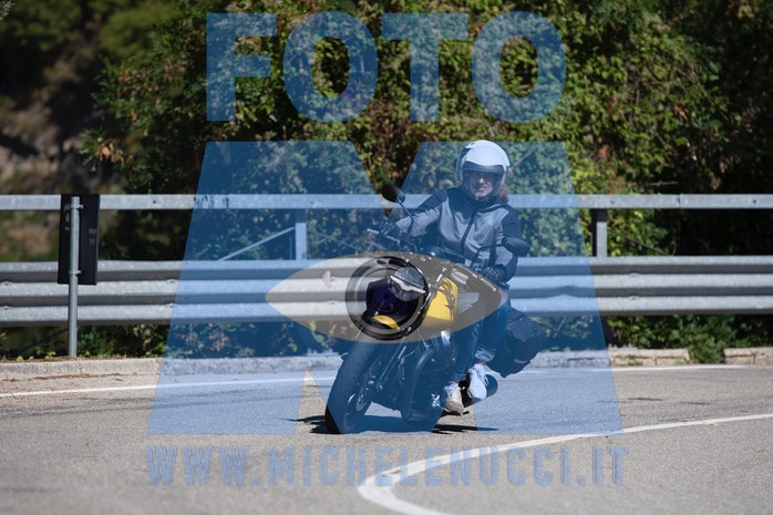 MICH0799
