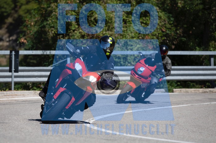 MICH0809