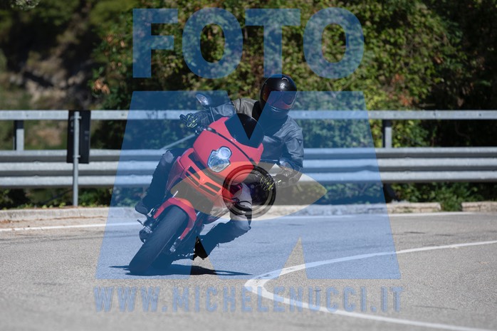 MICH0811