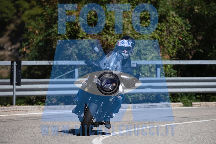 MICH0819