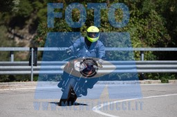 MICH0842