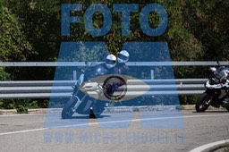 MICH0862