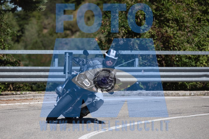 MICH0885
