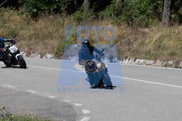 MICH0893