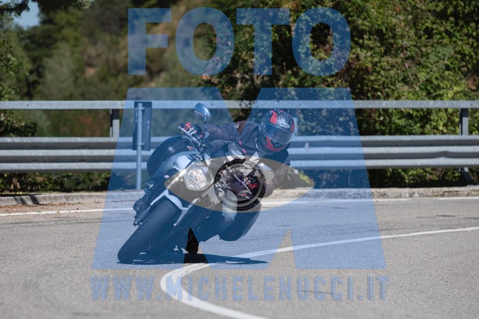 MICH0911