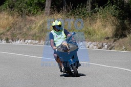 MICH0954