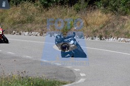 MICH0955