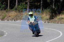MICH0955