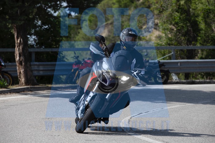 MICH0973