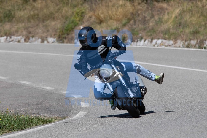 MICH0979
