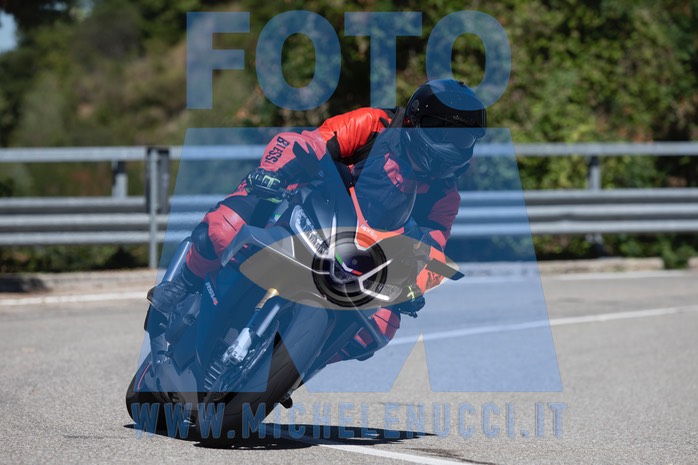 MICH0980