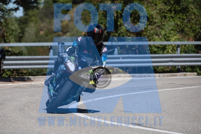 MICH0984