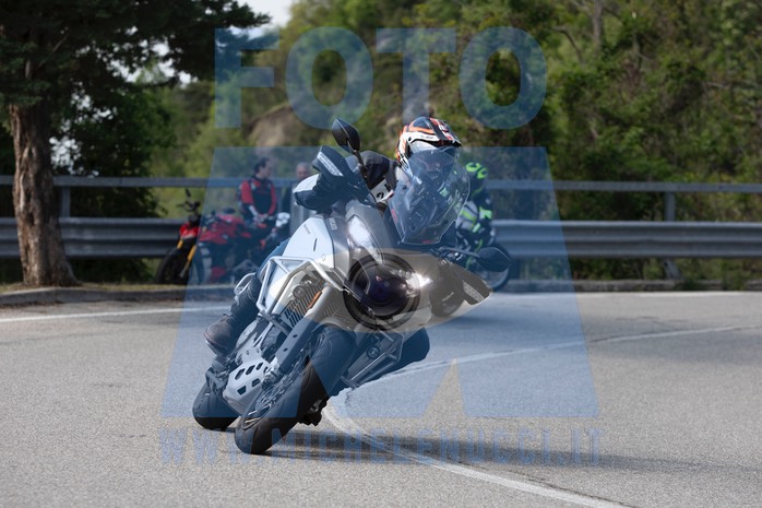 MICH0985