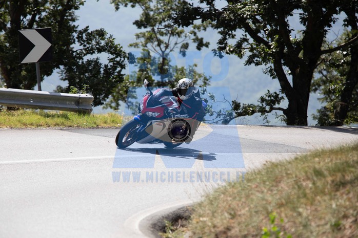 MICH0994