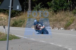 MICH0994