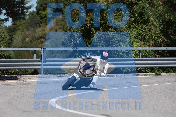 MICH0994