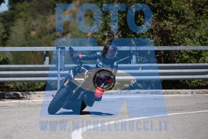 MICH1005