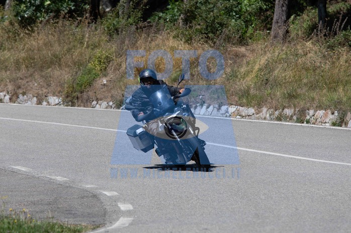 MICH1007
