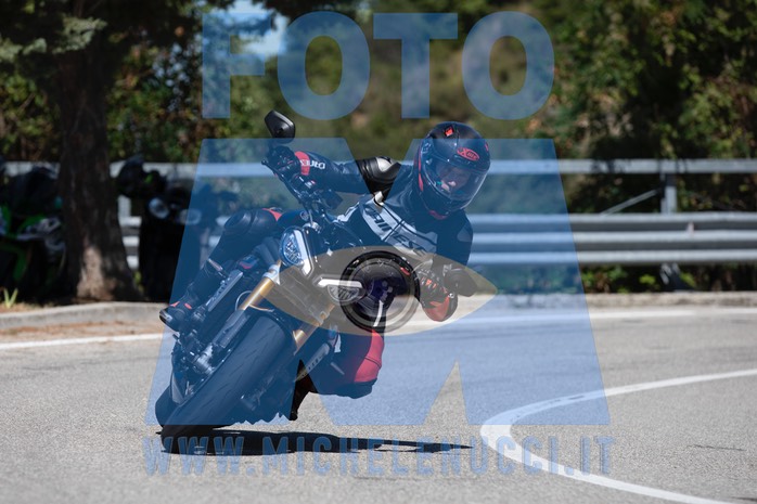 MICH1007