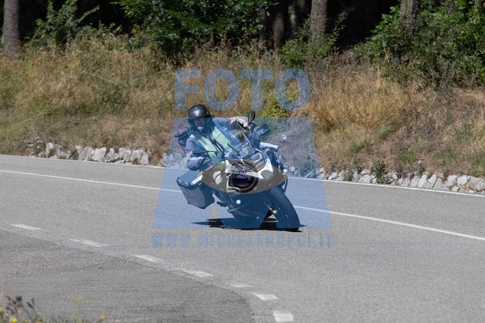MICH1025