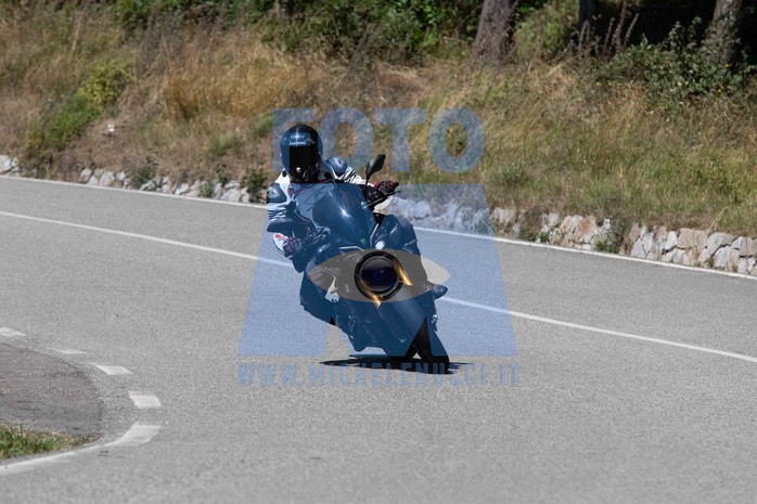 MICH1031