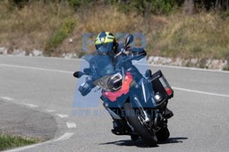MICH1031