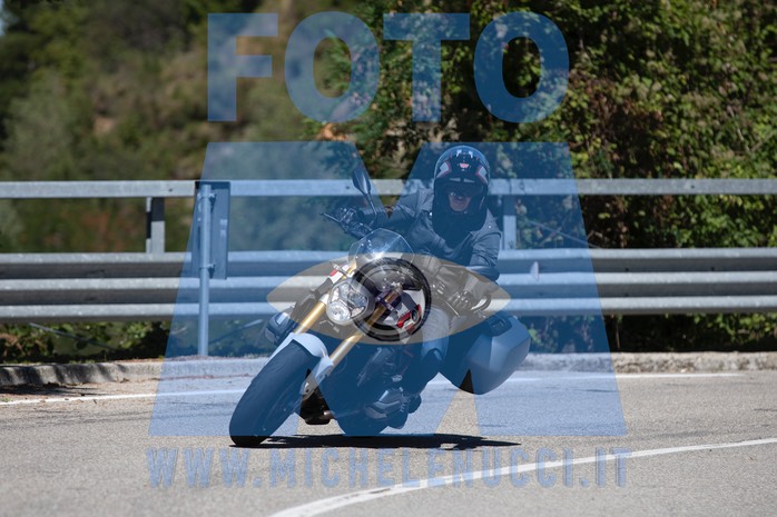 MICH1035