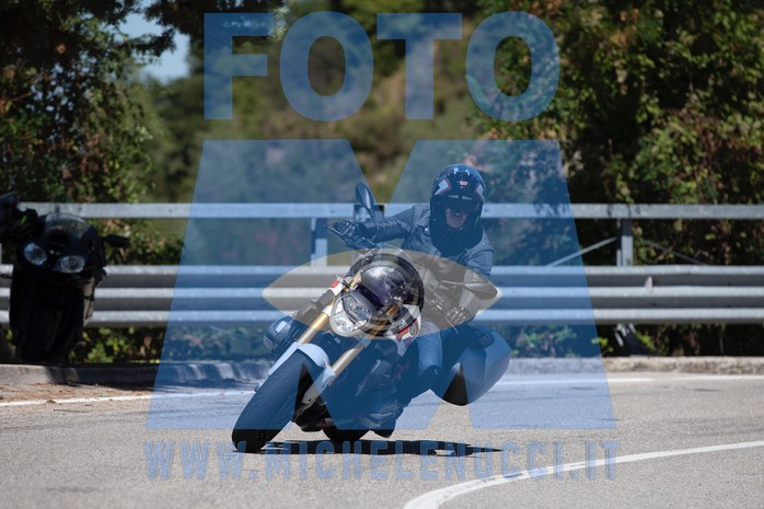 MICH1036