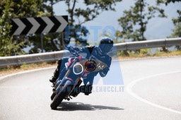 MICH1040