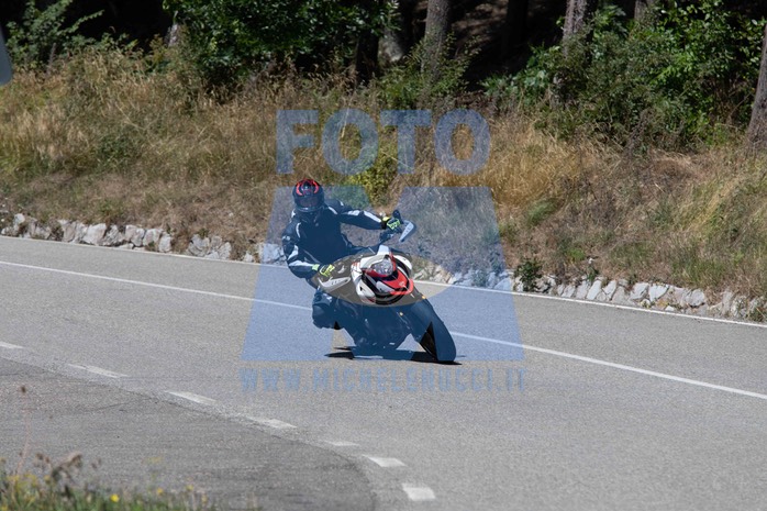 MICH1043