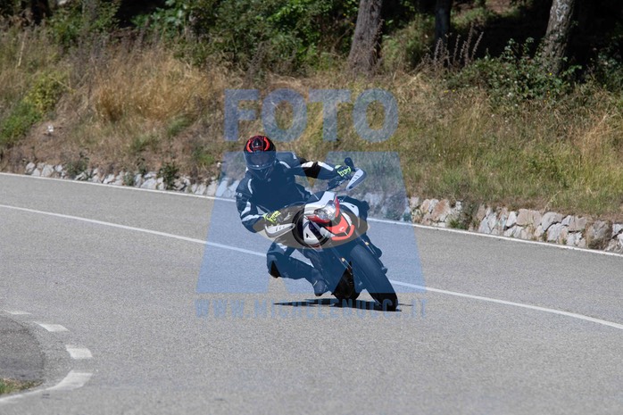 MICH1045