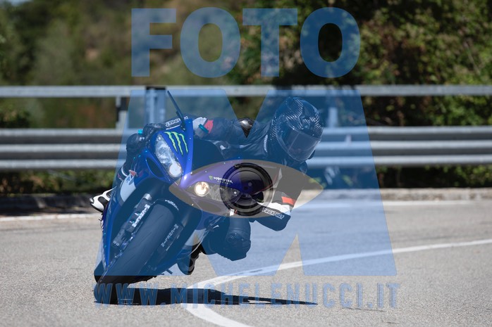 MICH1067