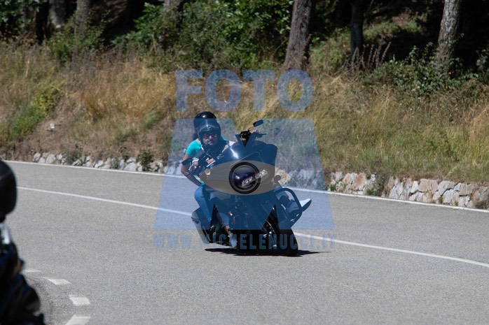 MICH1071