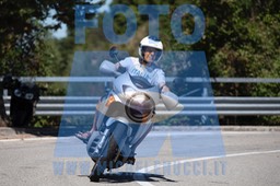 MICH1079