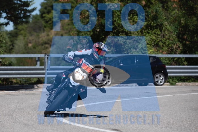 MICH1087