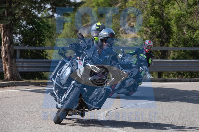 MICH1096