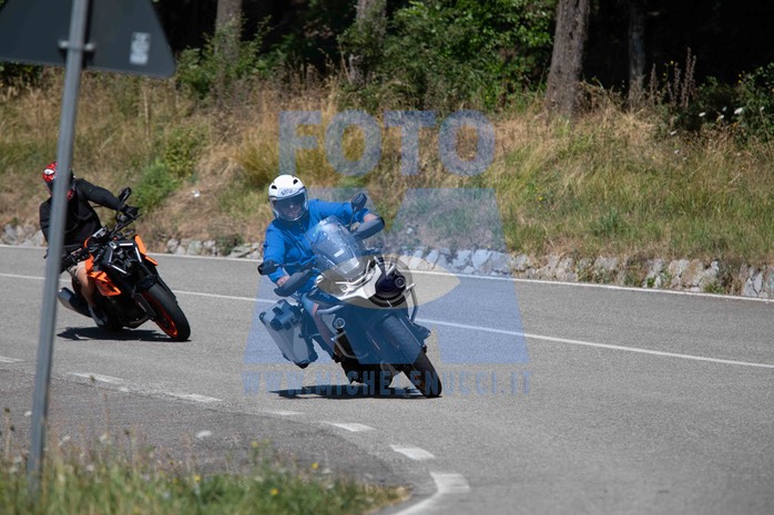 MICH1099