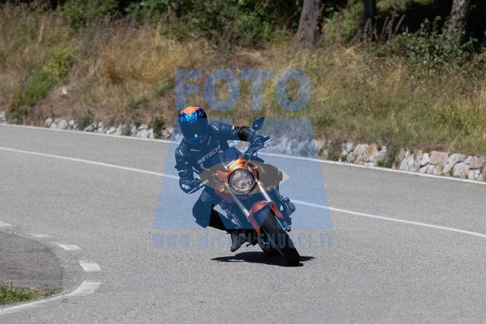MICH1099