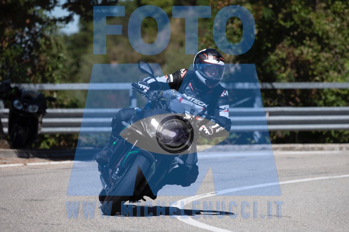 MICH1099