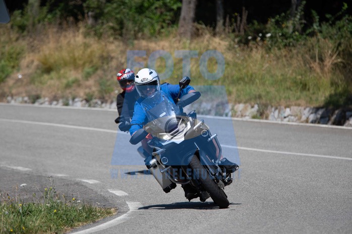 MICH1100