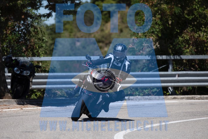 MICH1102