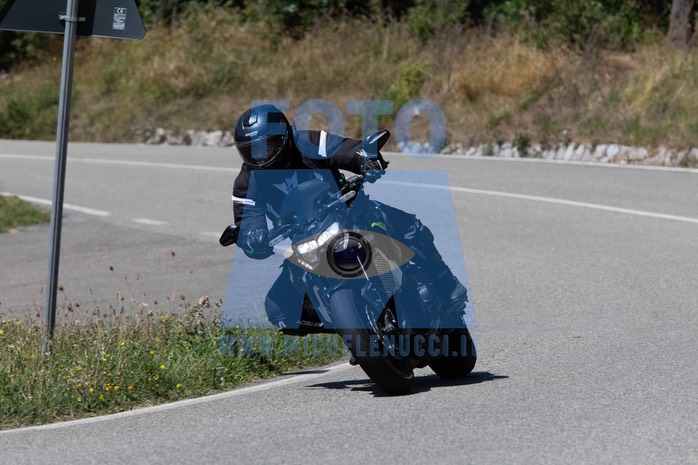 MICH1116