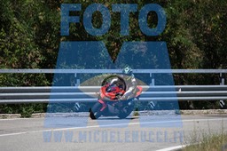 MICH1129