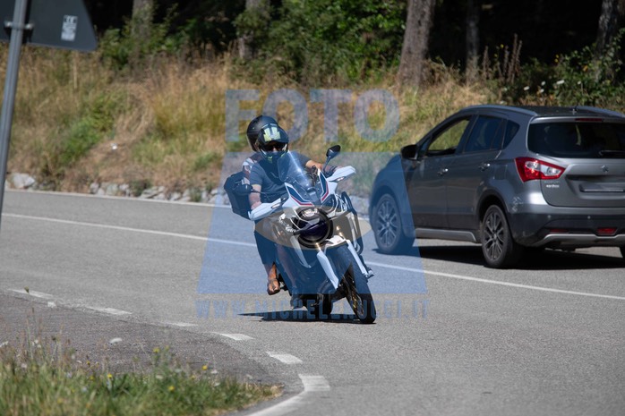 MICH1135