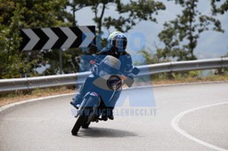 MICH1136