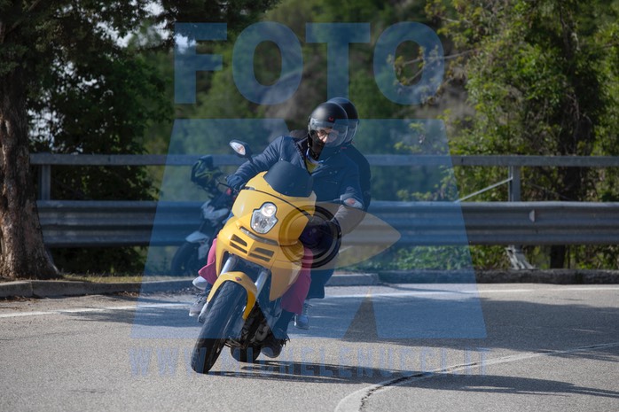 MICH1138